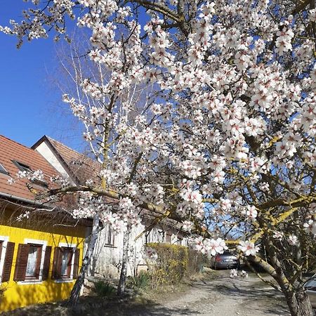 Eva Vendeghaz Villa Tata Luaran gambar
